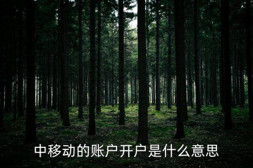 中移動的賬戶開戶是什么意思