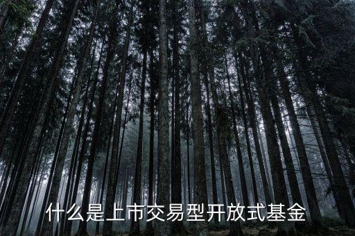 開(kāi)放式基金是什么憑證，什么是上市交易型開(kāi)放式基金