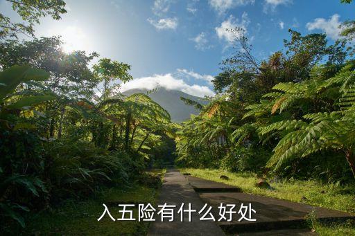 買了五險(xiǎn)有什么好處，入五險(xiǎn)有什么好處