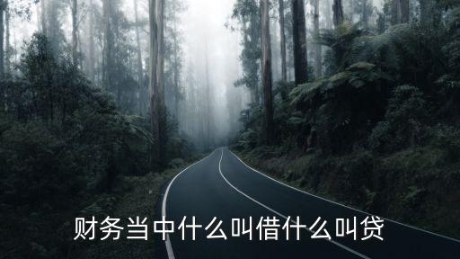 財(cái)務(wù)當(dāng)中什么叫借什么叫貸