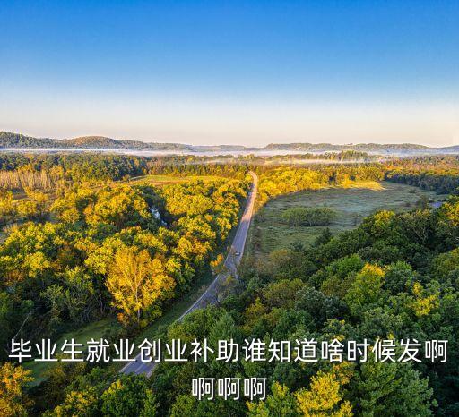 畢業(yè)創(chuàng)業(yè)基金什么時候，畢業(yè)生就業(yè)創(chuàng)業(yè)補(bǔ)助誰知道啥時候發(fā)啊啊啊啊