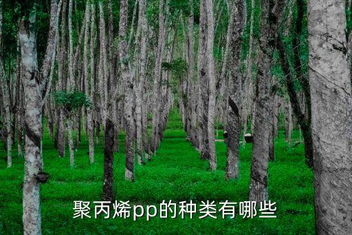 聚丙烯pp的種類(lèi)有哪些