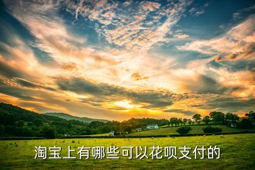 淘寶上什么可以用花唄付款方式，淘寶上哪些商品可以用花唄來購買