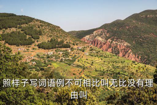 沒有理由叫什么，沒有理由叫無什么