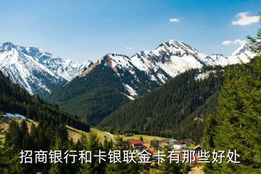 招商銀行和卡 有什么用，招商銀行和卡銀聯(lián)金卡有那些好處