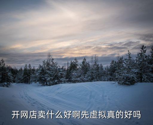 套現(xiàn)的網(wǎng)店賣什么好處，開虛擬網(wǎng)店賣什么好