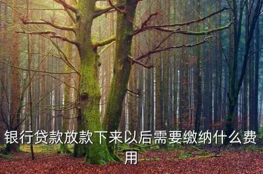 銀行貸款放款下來(lái)以后需要繳納什么費(fèi)用