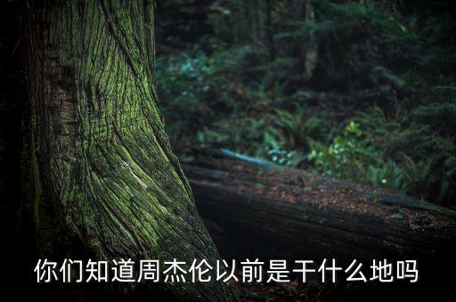 你們知道周杰倫以前是干什么地嗎