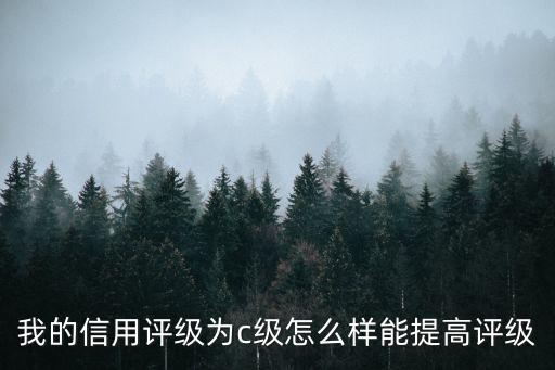 我的信用評(píng)級(jí)為c級(jí)怎么樣能提高評(píng)級(jí)