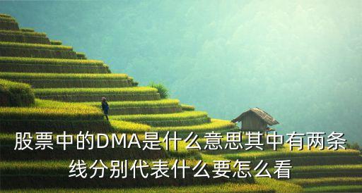 股票dma指標(biāo)是什么意思，股票里DMA是什么意思
