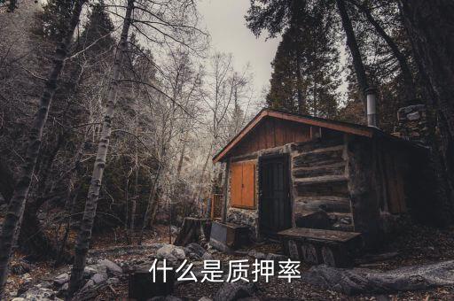 財(cái)富貸質(zhì)押率說明什么意思，什么是質(zhì)押率