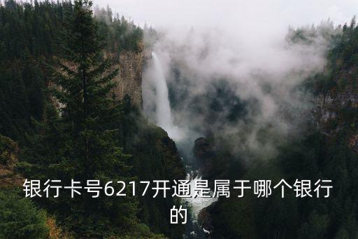 銀行卡號(hào)6217開(kāi)通是屬于哪個(gè)銀行的
