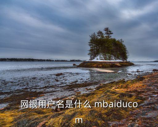網(wǎng)銀設置用戶名是什么，網(wǎng)銀用戶名是什么 mbaiducom