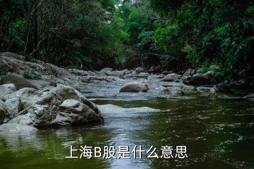 上海B股是什么意思