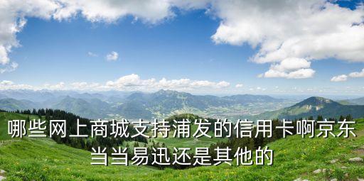 哪些網(wǎng)上商城支持浦發(fā)的信用卡啊京東當當易迅還是其他的