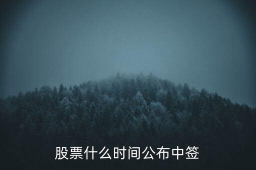 什么時候發(fā)布中簽號，一般什么時候公布中簽號