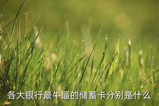 各大銀行最牛逼的儲(chǔ)蓄卡分別是什么