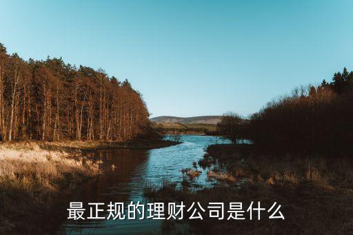 最正規(guī)的理財公司是什么