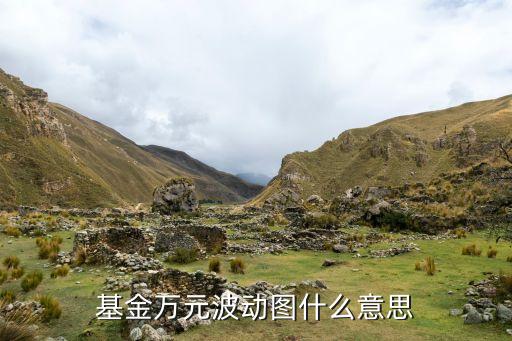 基金的波動幅度看什么意思，請問基金波動幅度是什么意思