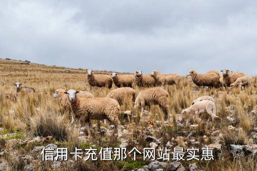信用卡充值那個網(wǎng)站最實惠
