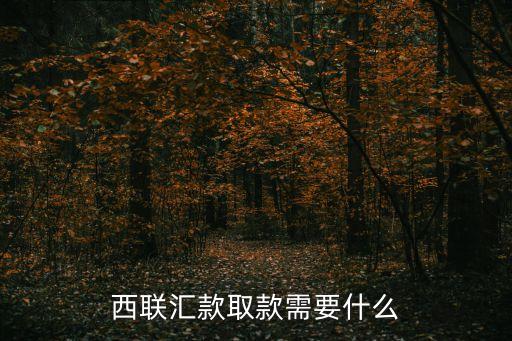 西聯(lián)取款需要什么，西聯(lián)匯款取款需要什么