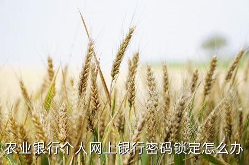 農(nóng)業(yè)銀行個(gè)人網(wǎng)上銀行密碼鎖定怎么辦