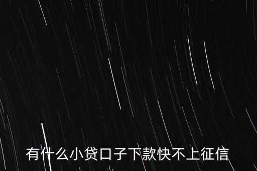 有什么秒下小口子，有什么小貸口子下款快不上征信