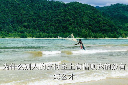 為什么別人的支付寶上有借唄我的沒(méi)有怎么才