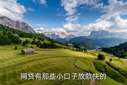 網(wǎng)貸有那些小口子放款快的