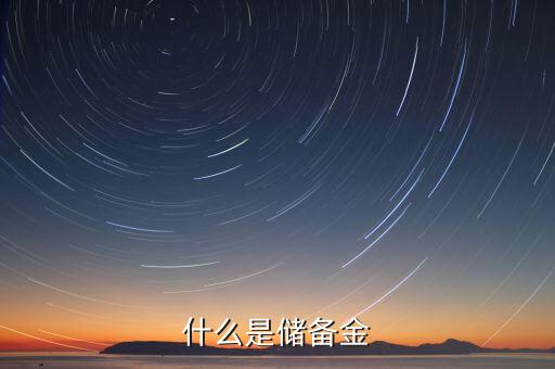 什么是儲備金