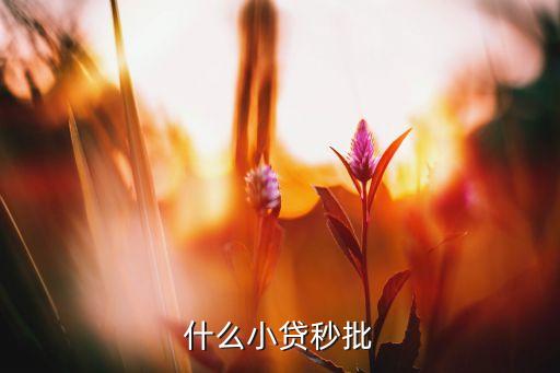 什么小貸秒批