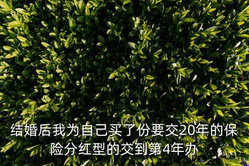 結(jié)婚后我為自己買了份要交20年的保險(xiǎn)分紅型的交到第4年辦