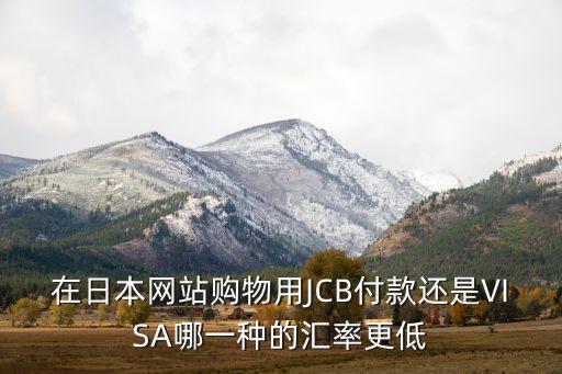 在日本網(wǎng)站購物用JCB付款還是VISA哪一種的匯率更低