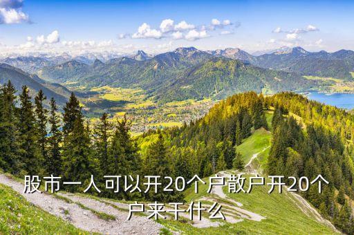 股市一人可以開20個戶散戶開20個戶來干什么