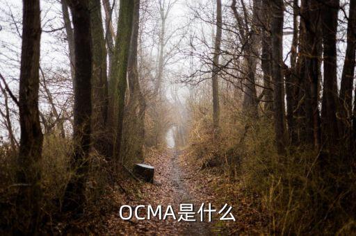 OCMA是什么