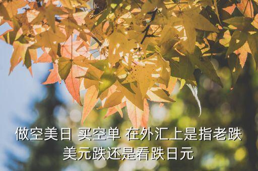 做空美日 買空單 在外匯上是指老跌美元跌還是看跌日元