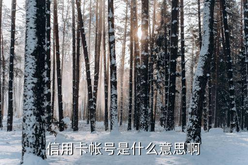 信用卡帳號是什么意思啊