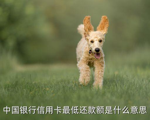 什么信用卡的還款最低還款額，信用卡最低還款額是多少啊