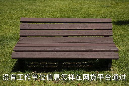 沒有工作單位信息怎樣在網(wǎng)貸平臺(tái)通過