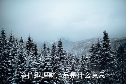 凈值型理財(cái)產(chǎn)品是什么意思
