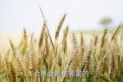 夏普股票代碼是什么，夏普股票代碼是什么