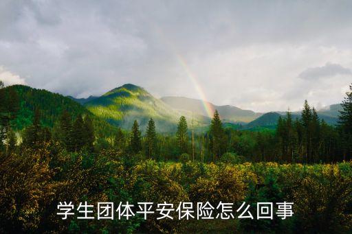 平安保險團體險是什么意思，平安保險團體保險是勞動保險嗎