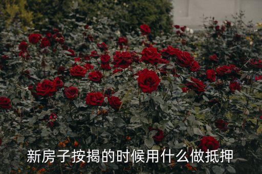 房貸用什么抵押貸款，買房子想貸款可以用什么抵押