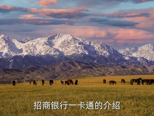 招商行用卡是什么，聯(lián)通的招行招卡是什么