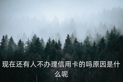 現(xiàn)在還有人不辦理信用卡的嗎原因是什么呢