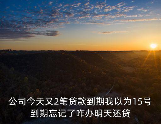 明天還吧貸款怎么樣，公司今天又2筆貸款到期我以為15號到期忘記了咋辦明天還貸