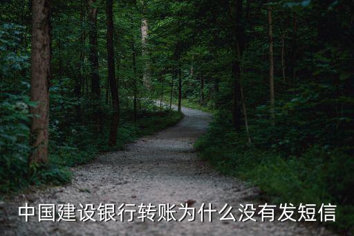 中國(guó)建設(shè)銀行轉(zhuǎn)賬為什么沒(méi)有發(fā)短信