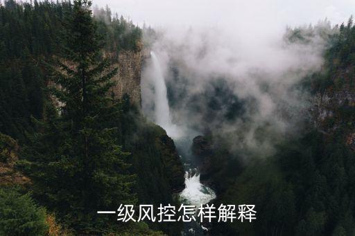 一級風(fēng)控怎樣解釋