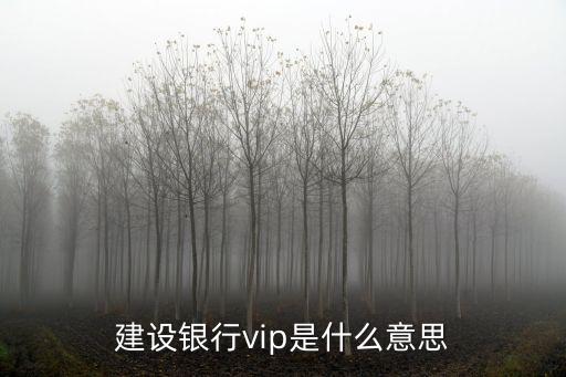 建設(shè)銀行vip是什么意思