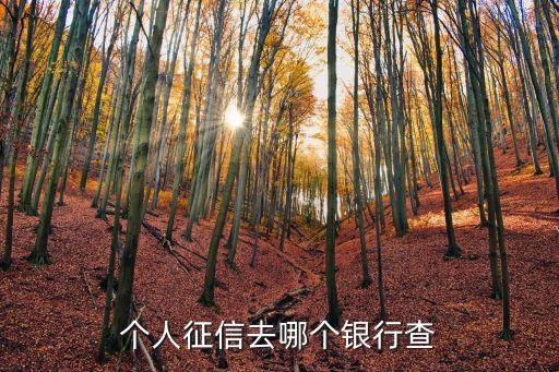 個(gè)人征信去哪個(gè)銀行查